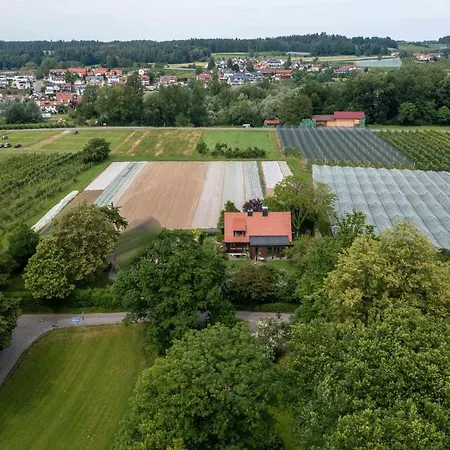 Ferienhaus Pfannhalde